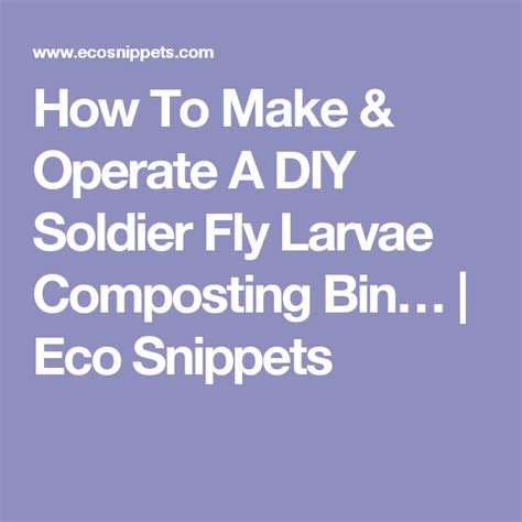 How To Make And Operate A Diy Soldier Fly Larvae Composting Bin