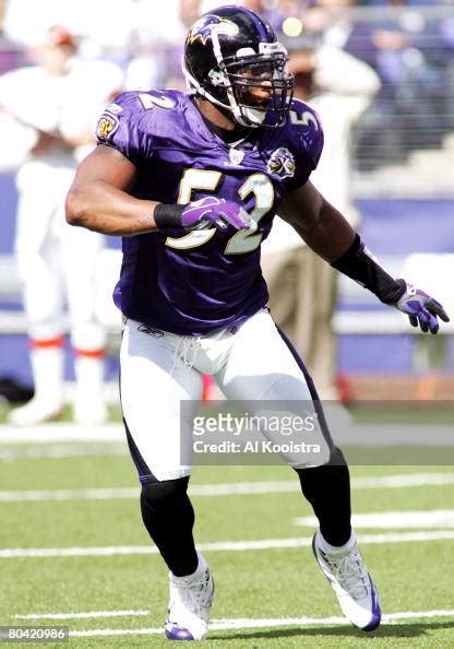 Baltimore Ravens Linebacker Ray Lewis In Action During The Ravens 16