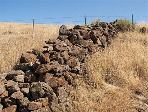 Unravelling The Mystery Behind The East Bay Walls Who Really Made Them