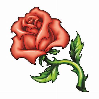 Rose Leaves Tattoo Cartoon Thorns Clipart Temporary