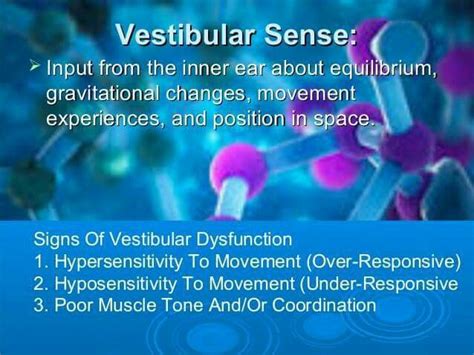 Vestibular Sense Signs Of Dysfunction Autism Information Inner Ear