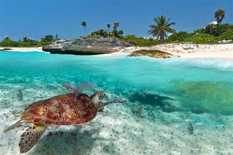 Best Places To Snorkel In The Caribbean Scuba Diving Gear