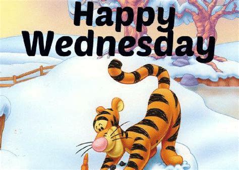 Best 25 Happy Wednesday Meme To Share By Erica Gray Medium