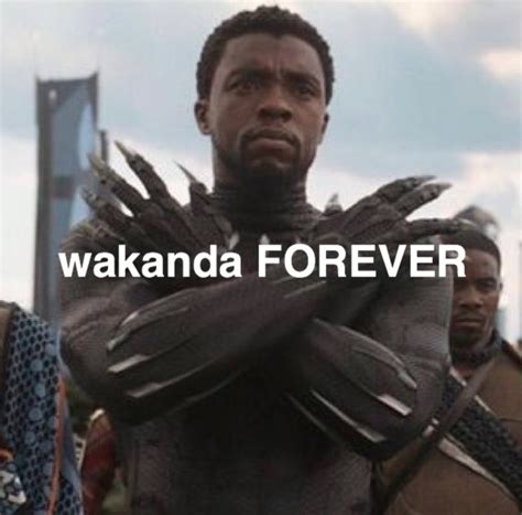 Wakanda Forever Has Broken Chadwick Boseman Funny Article Ebaums World