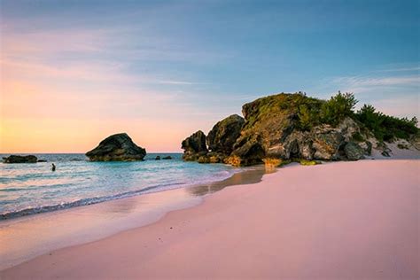 Why Are Bermuda Beaches Pink Ymt Vacations