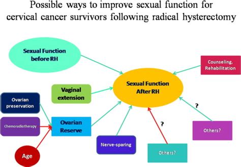 Vaginal Extension Improves Sexual Function In Patients