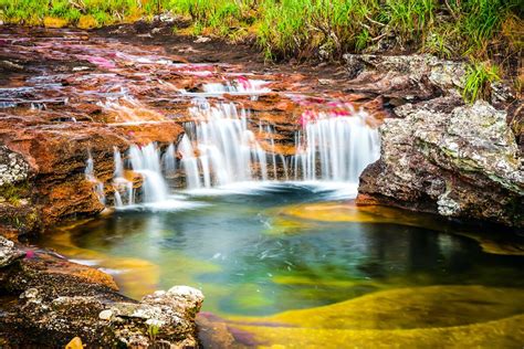 Caño Cristales The Best Time To Visit Colombias Rainbow River