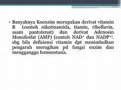 Berikut Yang Merupakan Contoh Koenzim Adalah