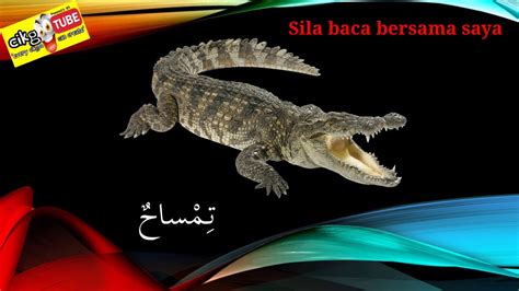 Check spelling or type a new query. Bahasa Arab Tahun 5 (Tajuk 4) - YouTube