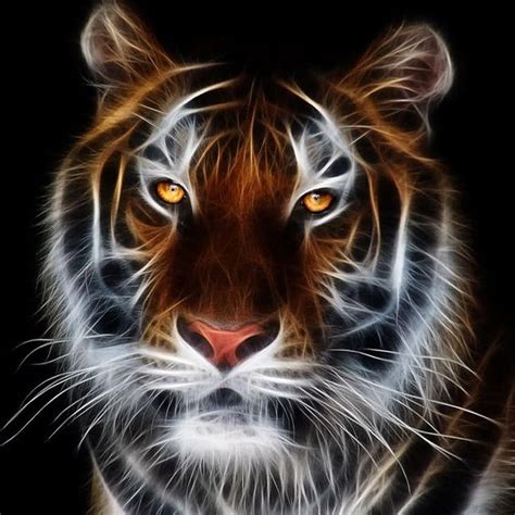 112 Wallpaper Keren 3d Harimau For Free Myweb