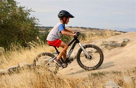 9 Best 20 Inch Mountain Bikes For Girls And Boys We Tested Every Bike