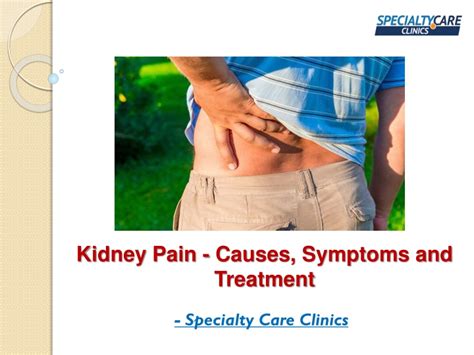 Ppt Kidney Pain Causes Symptoms And Treatment Powerpoint
