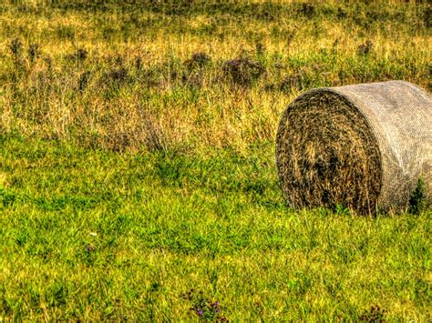 Bale Of Hay In Autumn Free Stock Photo Public Domain Pictures