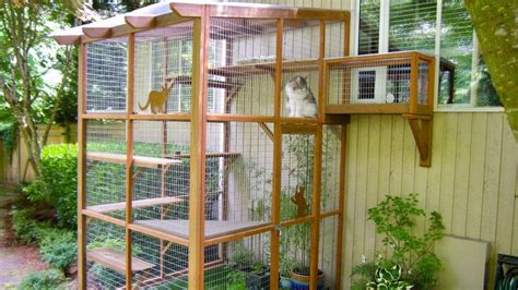 Ratings, based on 241 reviews. Catios | How to Buy or Make Your Own Outdoor Cat Enclosure