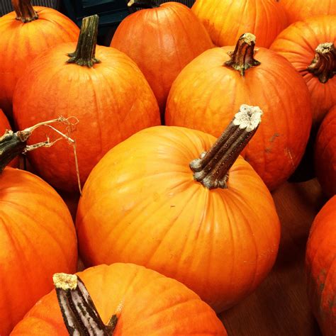 Many Orange Pumpkins Are Stacked On Top Of Each Other