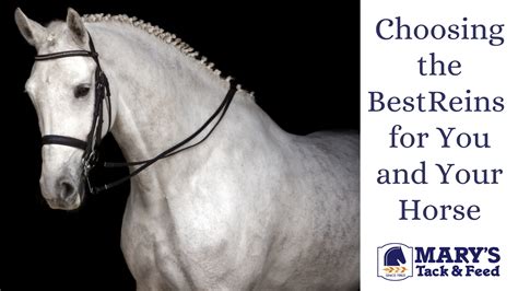 Choosing The Best Reins For You And Your Horse Marys