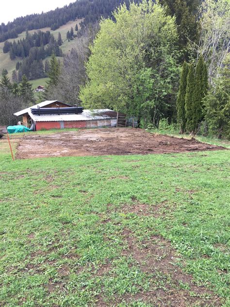 Maybe you would like to learn more about one of these? Ein neuer Garten entsteht - sabinesgarten.ch