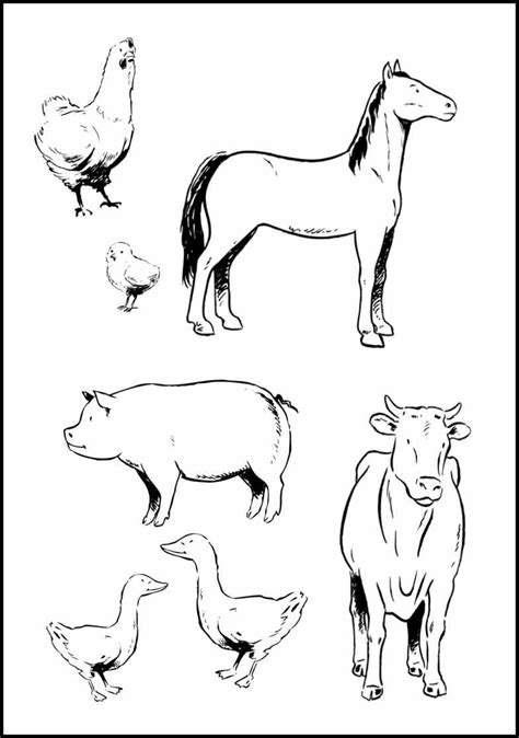 Farm Animal Coloring Pages To Download And Print For Free
