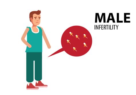 What Is Infertility What Are Its Causes And Treatments Lets Find Out 3 Informative Reasons
