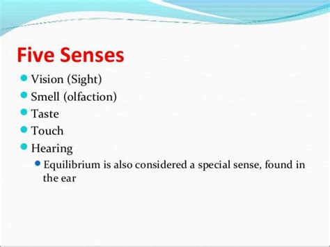 Solution Anatomy And Physiology Of Sensory Organns Pptx Studypool