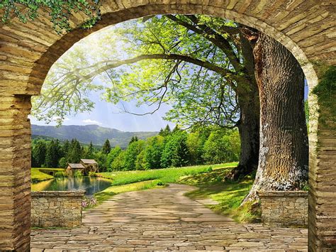 P Free Download Old Mill Forest Tree Arch Mill Serenity Summer Bonito Old Hd