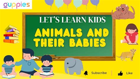 Animals And Their Babies For Kids Animals And Their Babies Name In
