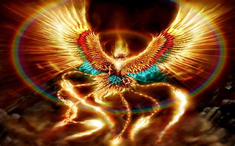 Golden Phoenix Wallpapers Top Free Golden Phoenix Backgrounds