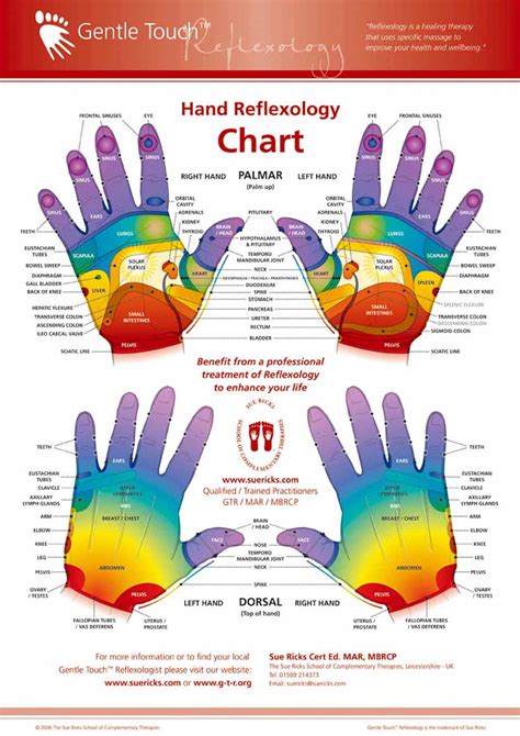 Reflexology Maps Hand Foot And Ear Reflexology Map Tips