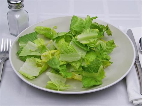 Calories In 28 Grams Of Romaine Lettuce