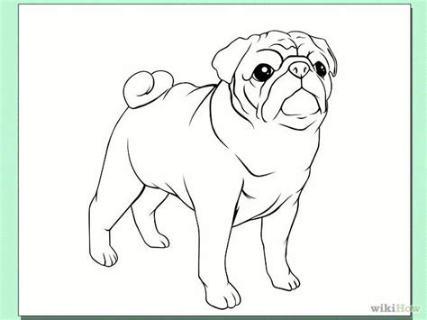 Draw A Pug Dog Step 4 Dog Drawing Pug Art Pugs