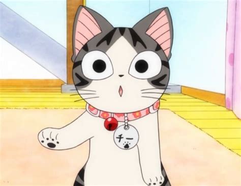 World Of Chi In 2021 Chis Sweet Home Anime Kitten Lucky Cat