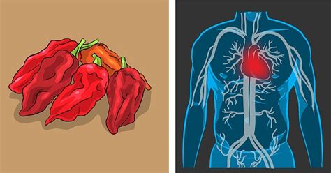 Benefits Of Spicy Foods Beyond A Tasty Meal