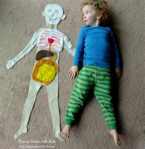 Human Body Outline For Kids