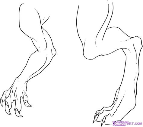 26 Best Images About How To Draw Dragon Feet And Dragon Arms On Pinterest