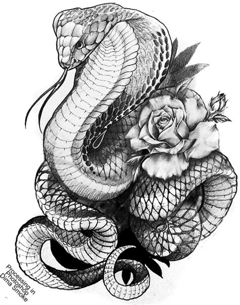 Undefined Snake Tattoo Design Cobra Tattoo Snake Drawing