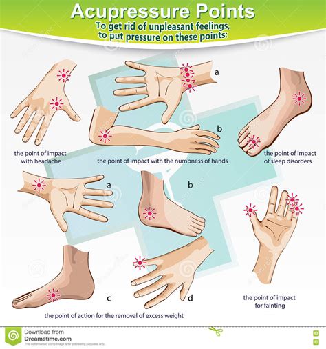 Body Points For Massage的圖片搜尋結果 Acupressure Treatment Acupressure