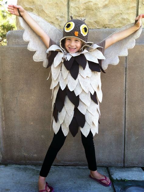 Chadwicks Picture Place Homemade Owl Costume