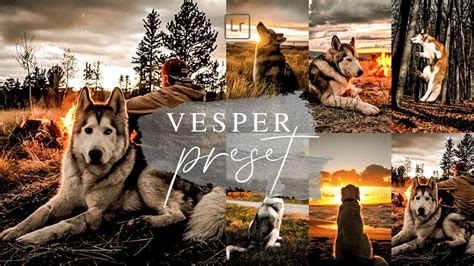 How to export presets for lightroom mobile. lightroom mobile presets free dng | vesper sunset ...
