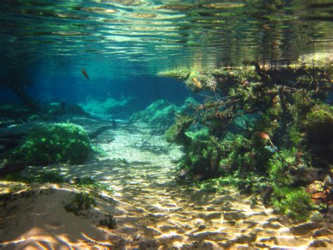Underwater River Wallpaper