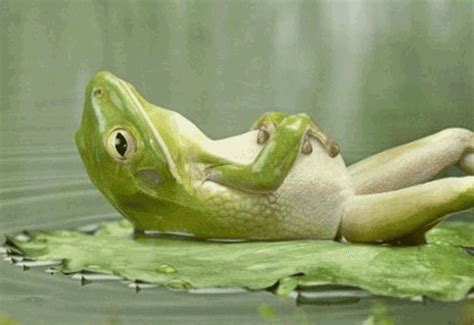 Relax Gif Find Share On Giphy