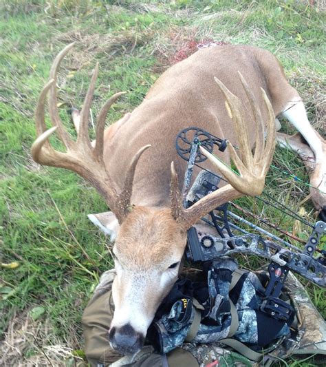Breaking 200 Maryland Bow Buck Big Deer