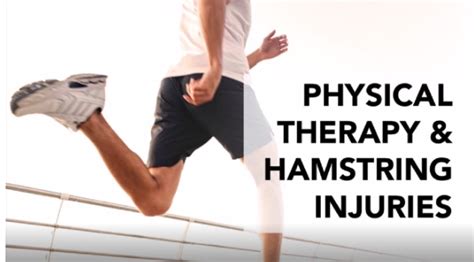 Physical Therapy For Hamstring Injuries Metro Physio