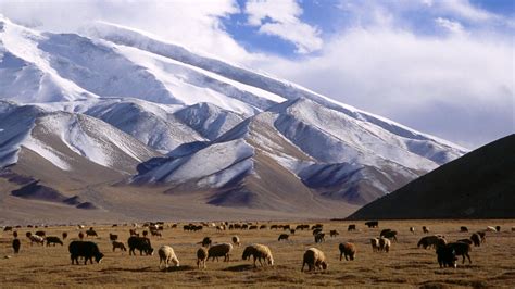 No matter how prepared you are or how. Travel To Pamir Mountains Central Asia - XciteFun.net