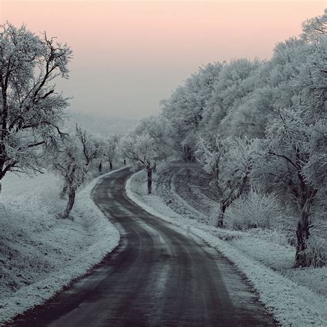 Winter Road Snow Frozen Trees On Sides 5k Ipad Pro Wallpapers Free Download