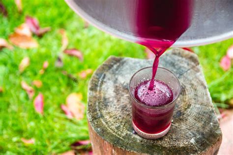 Fermented Grape Juice Stock Image Image Of Viticulture 40479577