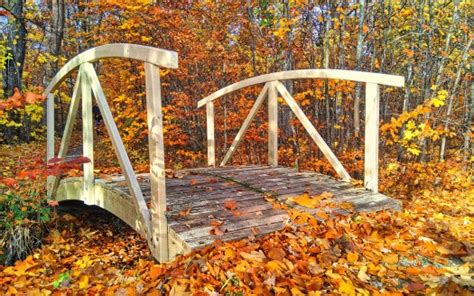 Wood Bridge Between Yellow Orange Green Autumn Leaves Trees Hd Autumn