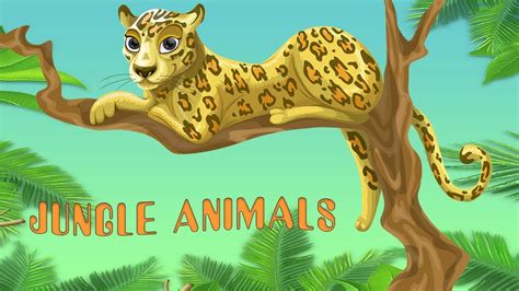 Animal Sounds For Children 30 Amazing Animals Jungle Animals Youtube