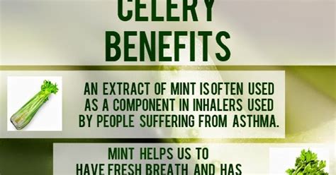 eden nuganics blog health benefits of celery