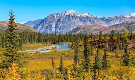 Denali National Park And Preserve