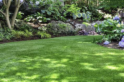 How To Choose The Right Type Of Grass For Your Lawn Canopy Lawn Care